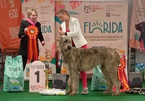 Выставка собак от клуба "КАС"