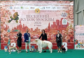 Весенний кубок Москвы 2026