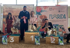 Выставка собак от клуба "Сенсация"