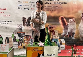 Cоревнования KUPA от клуба «Высшая Лига»