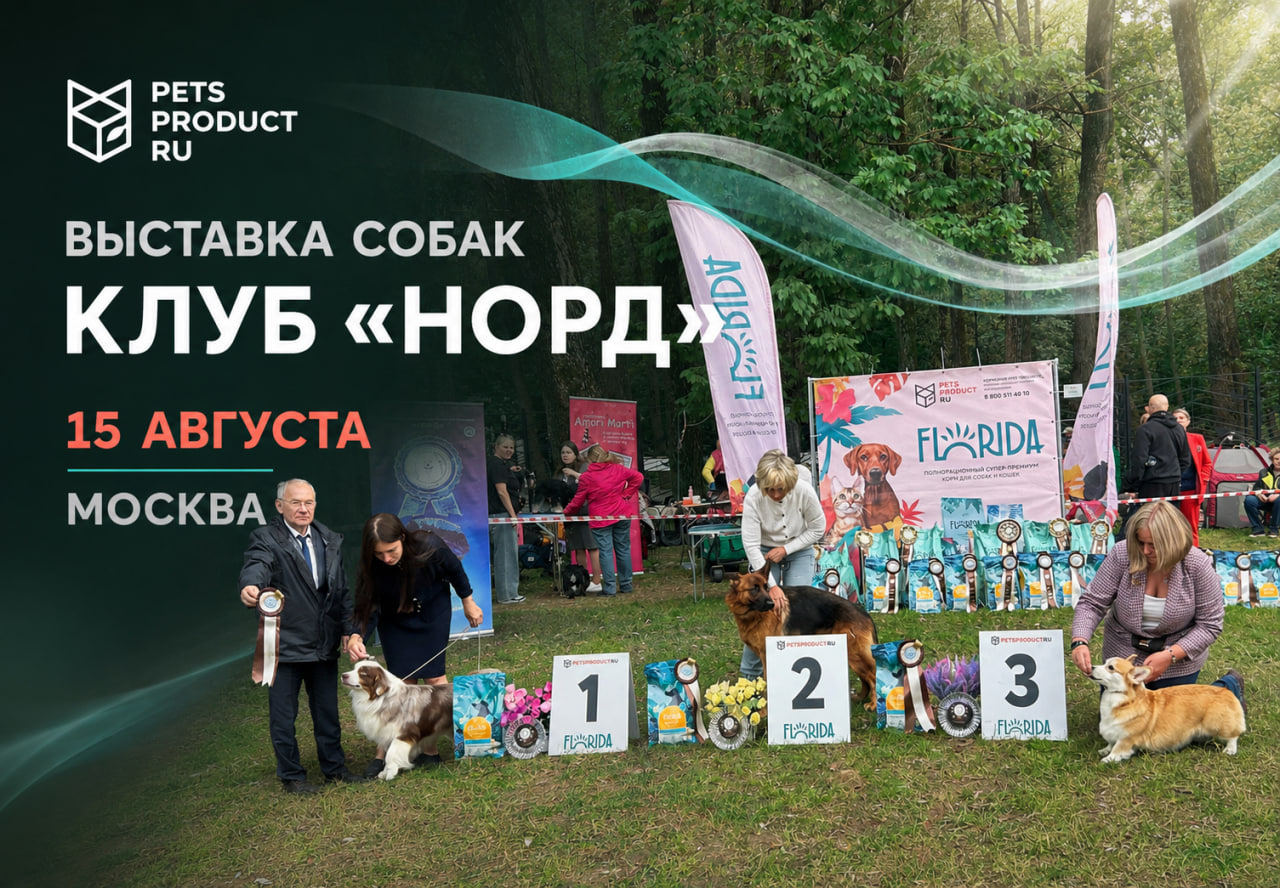 Выставка собак "Норд" 15 августа Москва