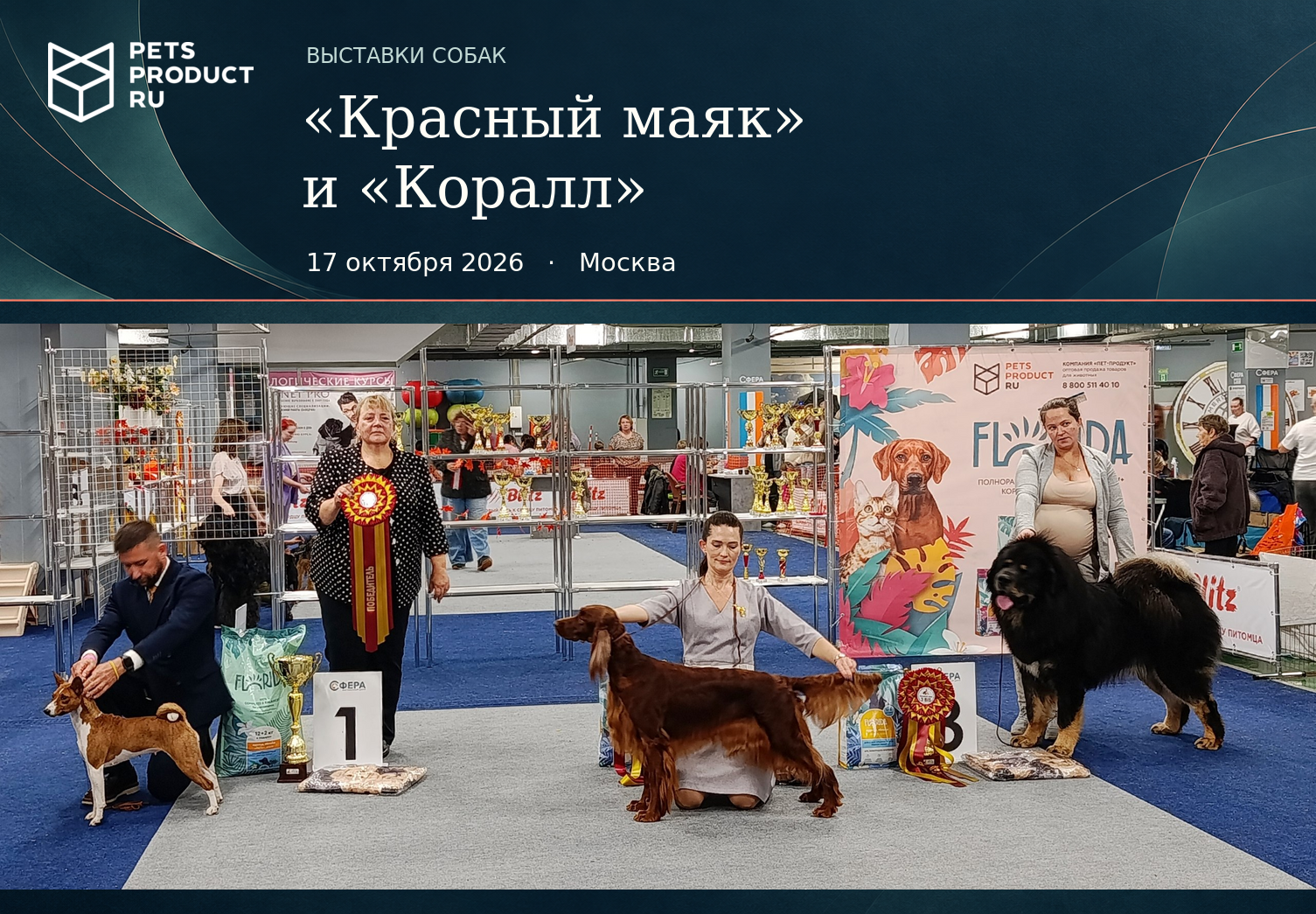 Выставки собак клубов «Красный маяк» и «Коралл» в Москве