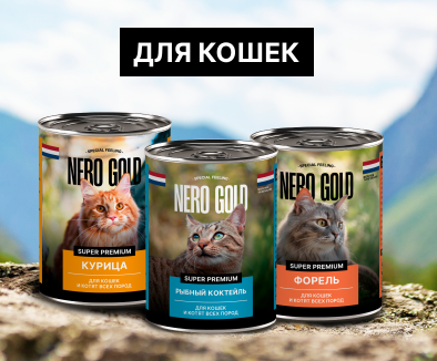 Влажные корма для кошек