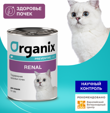 Влажные корма для кошек