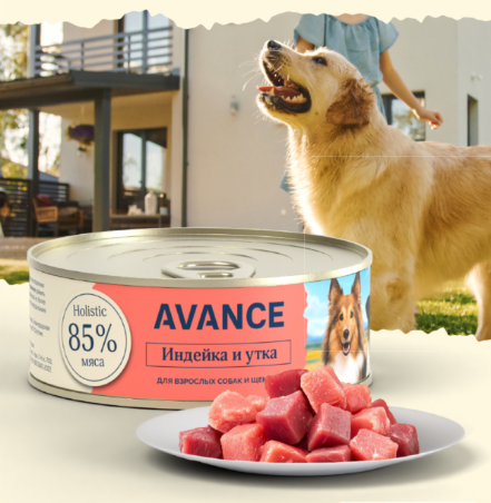 Влажные корма для собак