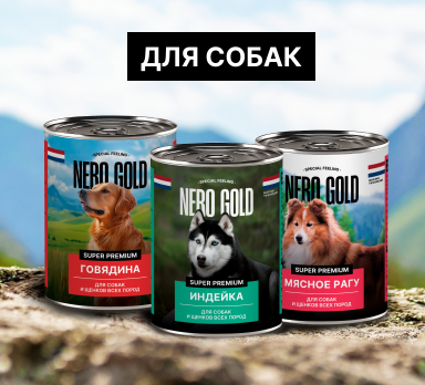 Влажные корма для собак