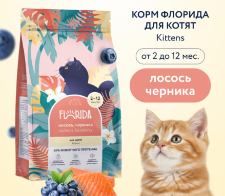 Сухой корм для кошек