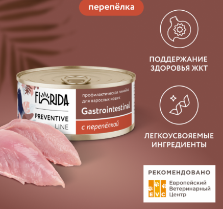 Влажные корма для кошек