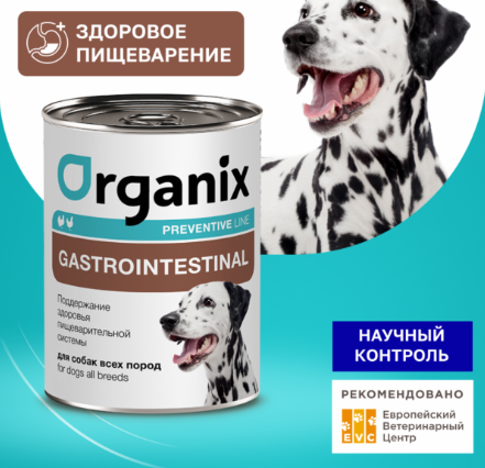 Влажные корма для собак